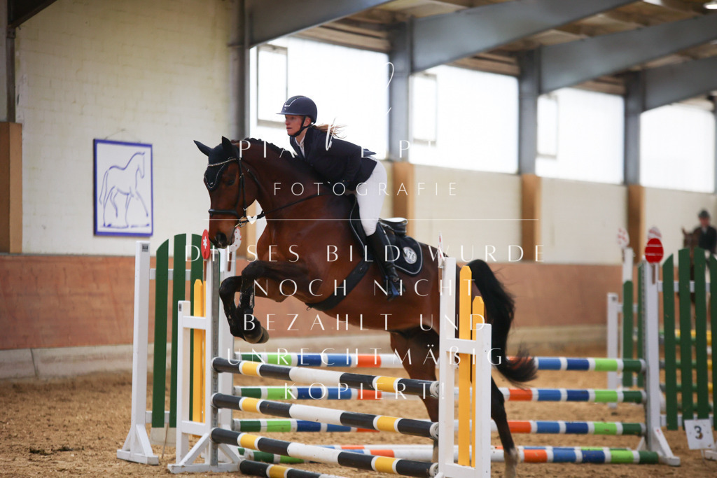 IMGT2186 | pl-fotografie