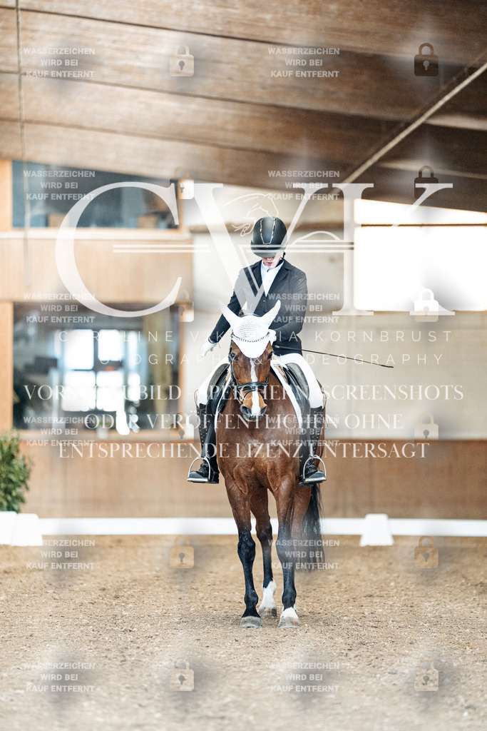 CK900714 | Turnierfotografie Pferdefotografie Trier Rheinland-Pfalz Pferdesport Reitsport Tierfotografie Sportfotografie Pferdevideo Pferdevideografie Equestrianvideography equestrianphotography  - Realisiert mit Pictrs.com