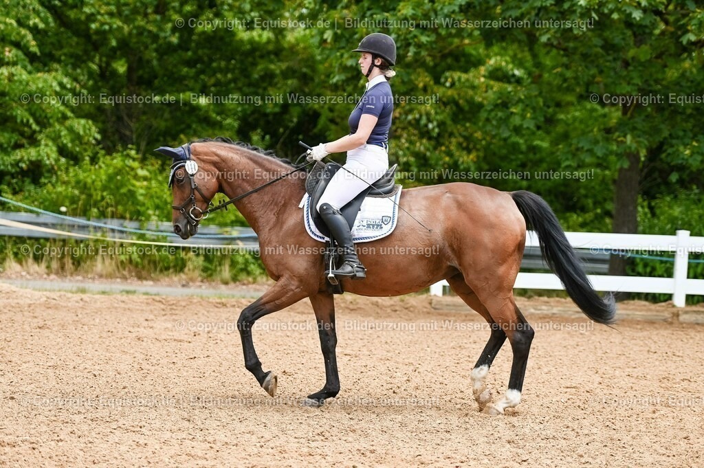 20230715_05_Dressurprüfung Kl.A++_0069 | equistock