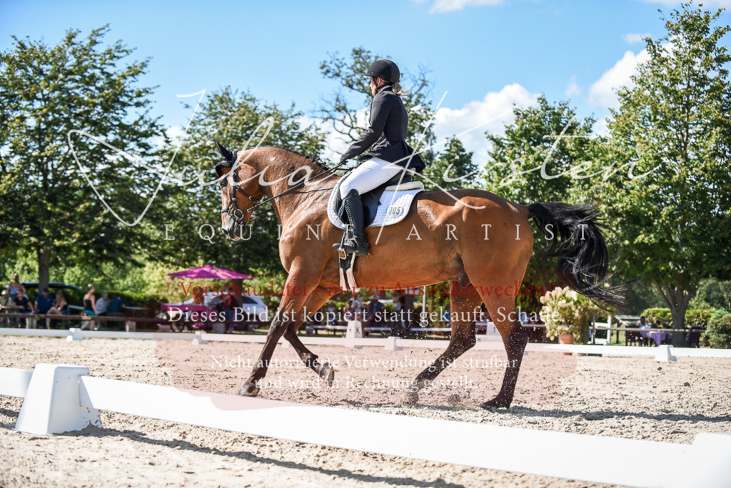 DSC_9676 | Pferde- und Turnierfotografie in Westsachsen. Pferdeportraits, Auftragszeichnungen und intuitive Kunst.