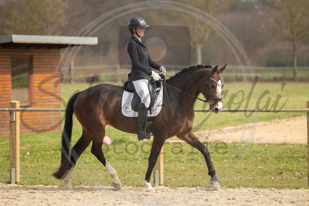 994A8733 | sabrinanicolaifotografie - Realisiert mit Pictrs.com