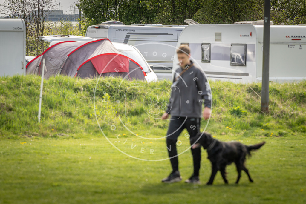 Pfotenfotografie_DV3A5014 | Hundefotografie, Tierfotograf, Pfotenfotografie, Fotoshooting Hund, Hunde Portrait, Hundesport, Hundeportraits, Heideshooting, Hunde, Sportfotograf, Hundefotograf, Turnierhundsport, THS,  - Realisiert mit Pictrs.com