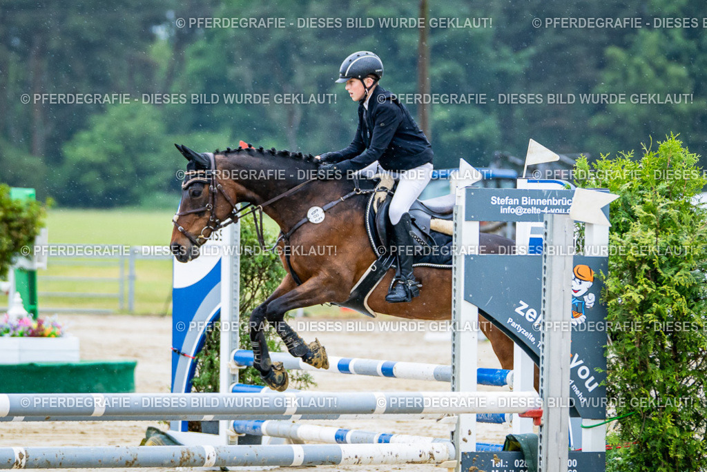 DSC01415 | Pferdegrafie