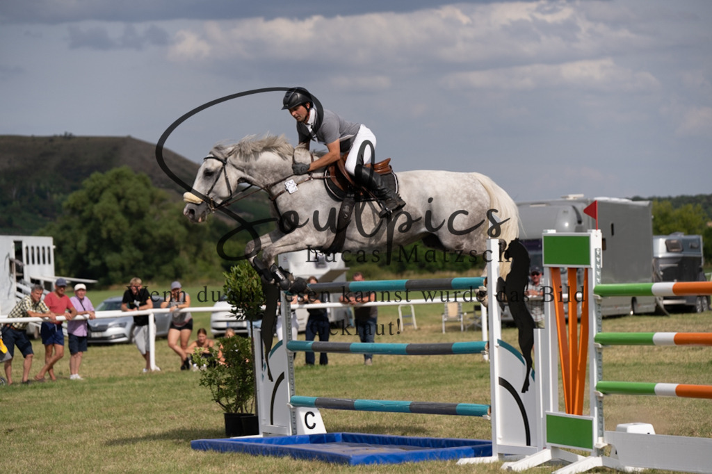 A7V02681 | Pferdefotograf