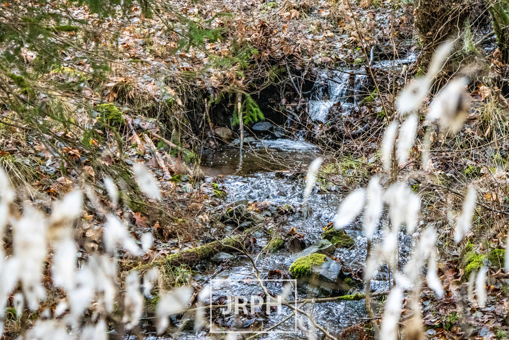 IMG_1331 | jrph - Realisiert mit Pictrs.com