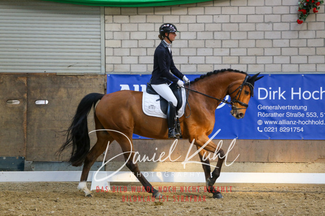 IMG_2606 | Turnierfotos kaufen im Webshop von Daniel Kuhl Photography – entdecke professionelle Reitsportfotos aus Turnieren & Events. Hochwertige Turnierbilder online bestellen & sichern. Jetzt Fotos von Reitsportturnieren kaufen!