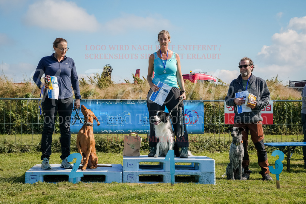 20250928_Hunderennen-771 | MuT (Mensch und Tier) mit Mona - Fotografie und Tierkommunikation - Realisiert mit Pictrs.com