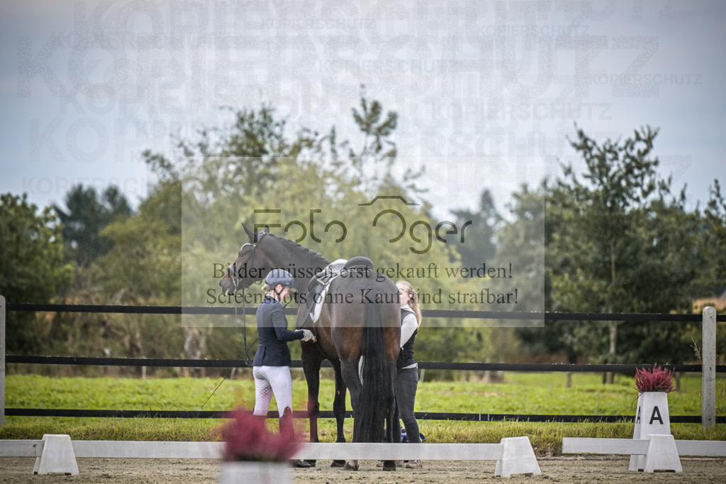 DOS_0518 | Entdecke hochwertige Reitturnierfotos von Foto Oger. Professionell, emotional und authentisch – jetzt Lieblingsmomente im Shop bestellen.Deutschlandweite Turnierfotografie. - Realisiert mit Pictrs.com