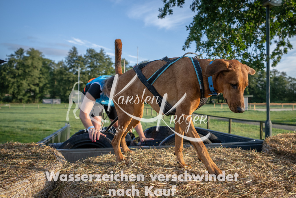 0818_ZZ90988 | kk-dogfotos