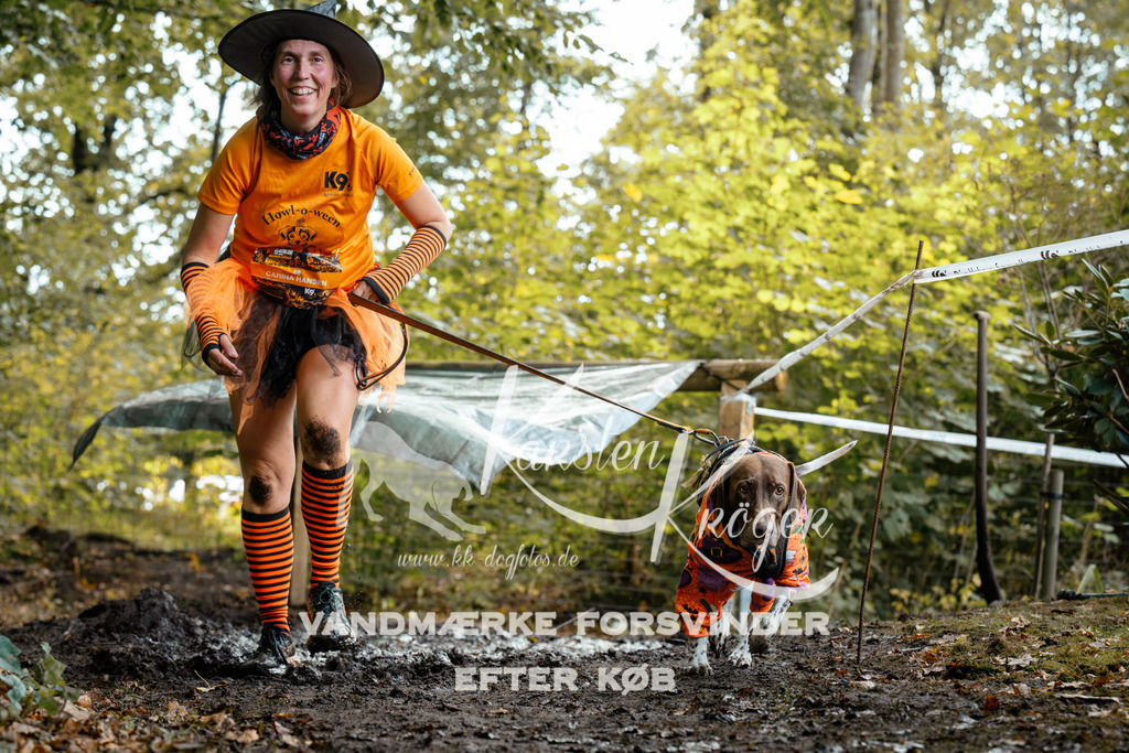 1417DZ6_1545Z6 | kk-dogfotos