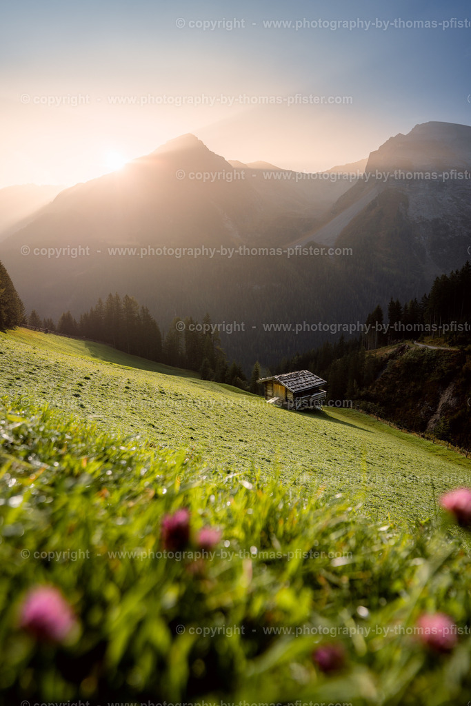 Aigen Aste Tux Herbst copyright  Thomas Pfister-1 | PHOTOGRAPHY BY THOMAS PFISTER