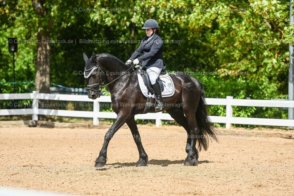 20230715_02_Dressurreiterprüfung Kl.L_0174 | equistock