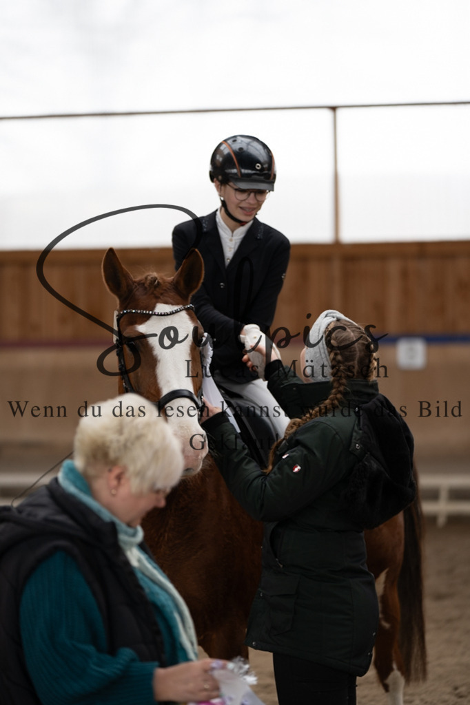 A7V09812 | Pferdefotograf