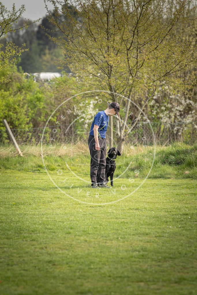 Pfotenfotografie_DV3A4895 | Hundefotografie, Tierfotograf, Pfotenfotografie, Fotoshooting Hund, Hunde Portrait, Hundesport, Hundeportraits, Heideshooting, Hunde, Sportfotograf, Hundefotograf, Turnierhundsport, THS,  - Realisiert mit Pictrs.com