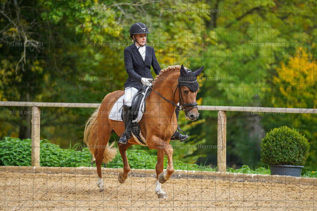 20221007-FAH09827 | Diessen am Ammersee, 2022, Dressur- und Springturnier, Reitsportbilder, Turnierfotografen Bayern, Pferdefotografen, Fotoagentur Herrmann, Turnierbilder