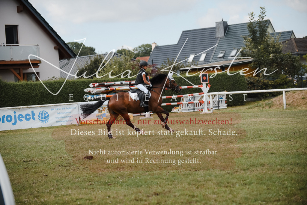 DSC_5491 | Pferde- und Turnierfotografie in Westsachsen. Pferdeportraits, Auftragszeichnungen und intuitive Kunst.