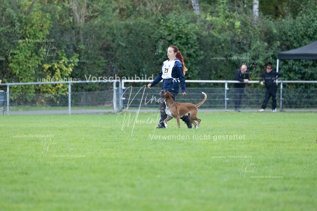 _16A4716 | Einzigartige Fotos von Hunden & Menschen –Actionfotos, Portraits, Vereinsaufnahmen & Paarshootings – authentisch, lebendig & mit Herz.