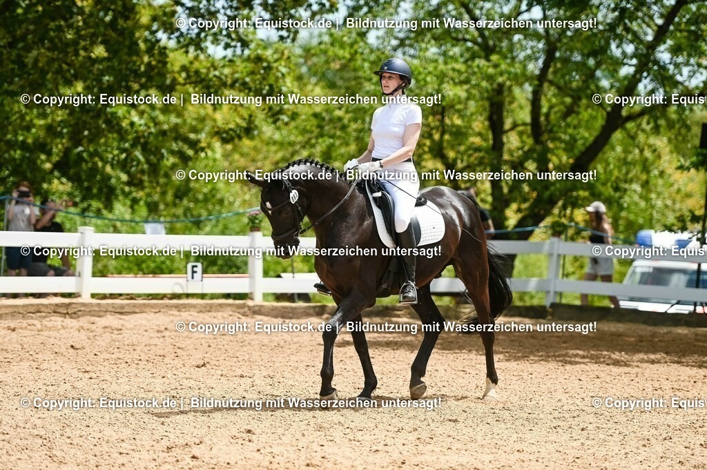 20230715_05_Dressurprüfung Kl.A++_0244 | equistock