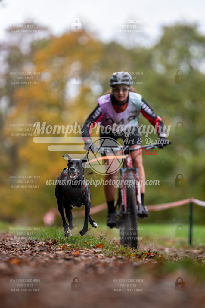 DBT_DAKM_SA_4_11_2023_Bike-59 | PayLife