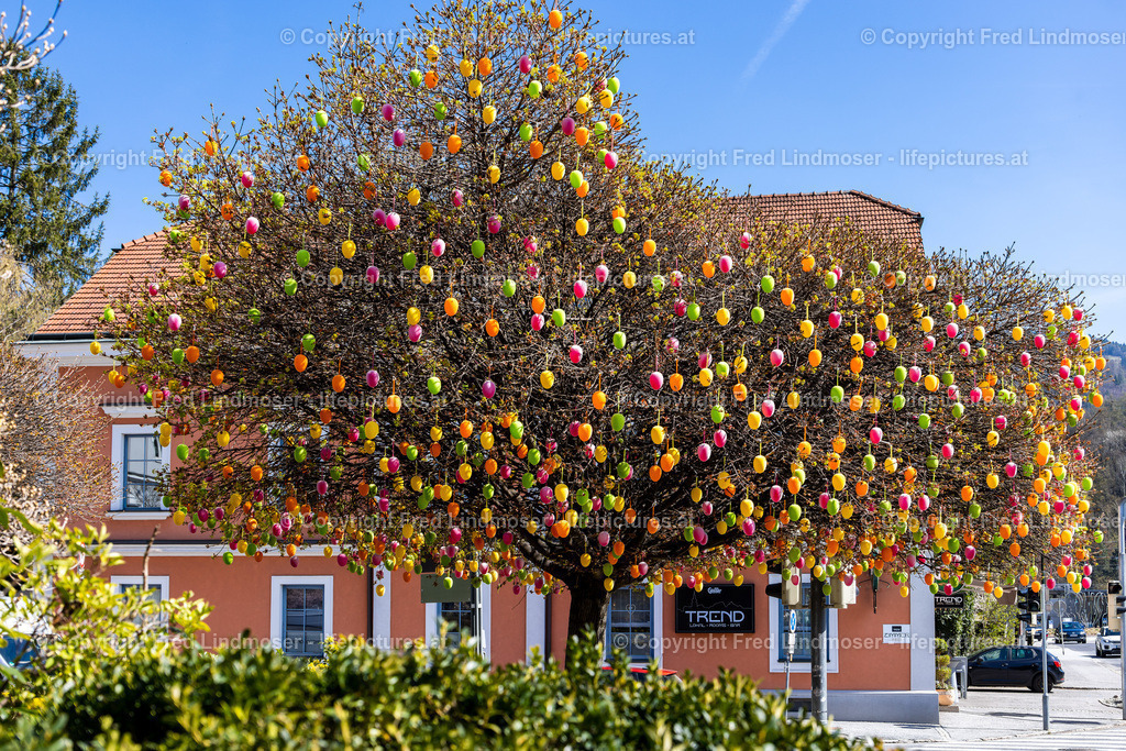 Frohnleiten Ostern Osterdeko 2022- | Fotos und Fotoprodukte - Realisiert mit Pictrs.com