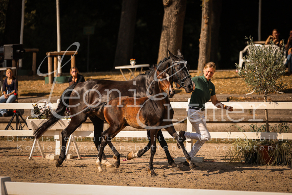 11.DoRP00062 | Leoni Ertmer Photography - Realisiert mit Pictrs.com