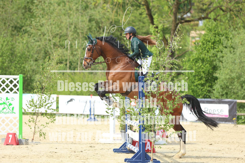 IMGM5841 | pl-fotografie