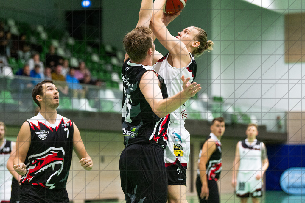 2. RL West | 19.10.2024 | BBC OS vs. Bad Essen | 2. RL West | 19.10.2024 | BBC OS vs. Bad Essen - - - - - CREDIT, www.bullenfotos.de, Martin König, Hörner Weg 40, D-49078 Osnabrück, +4917663732967, Nutzung und Weitergabe nur zu den vereinbarten Zwecken. Presseanfragen an Ersteller. Alle Rechte beim Ersteller. - - - - - - Realisiert mit Pictrs.com