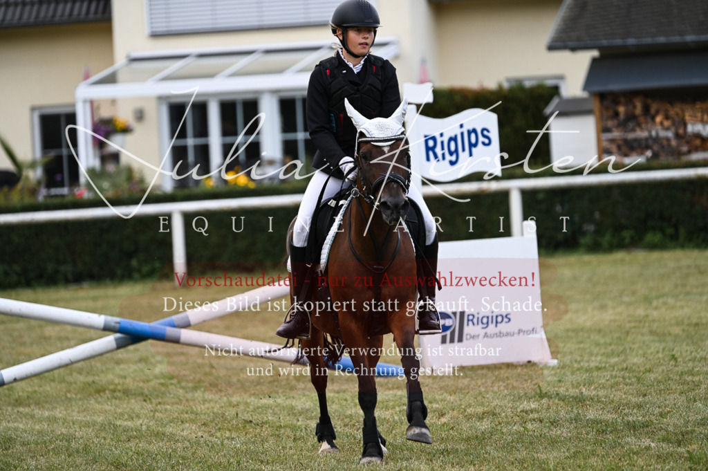 DSC_5718 | Pferde- und Turnierfotografie in Westsachsen. Pferdeportraits, Auftragszeichnungen und intuitive Kunst.