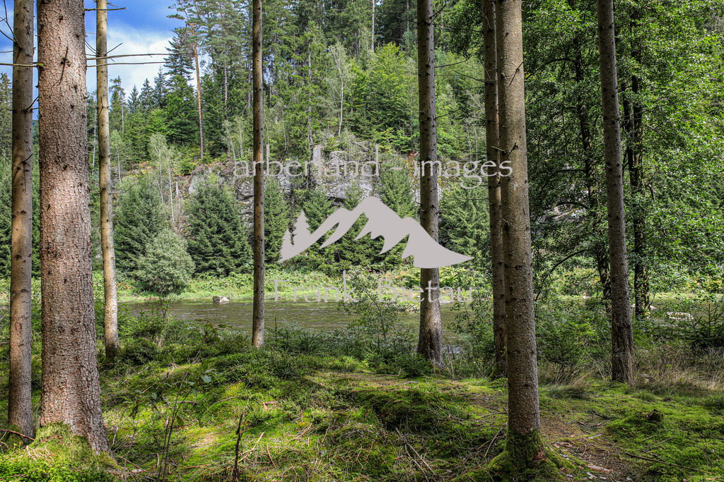 OE7A6763 | die Flusslandschaft am Regen im Bayerischen Wald wird auch als Bayerisch Kanda bezeichnet
