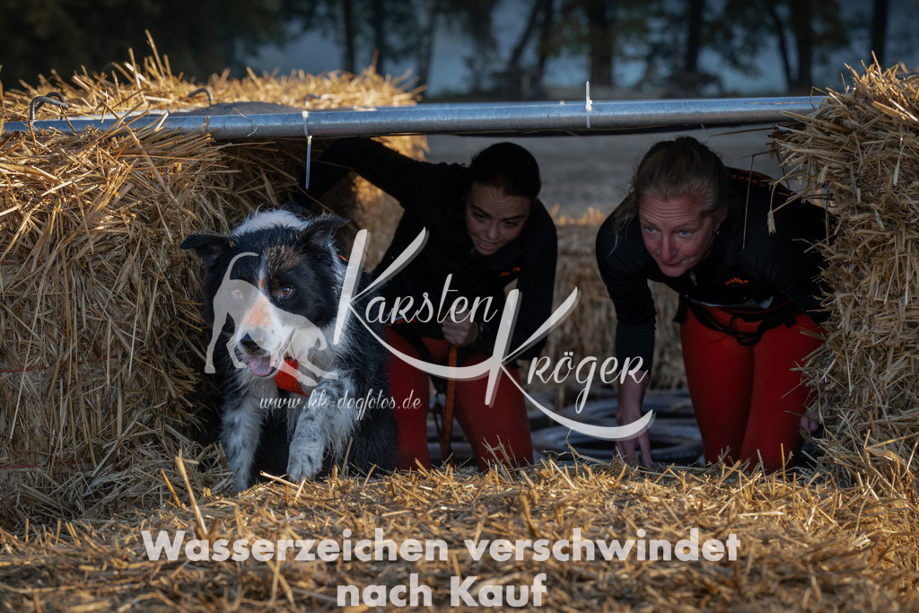 0912_ZZ91997 | kk-dogfotos
