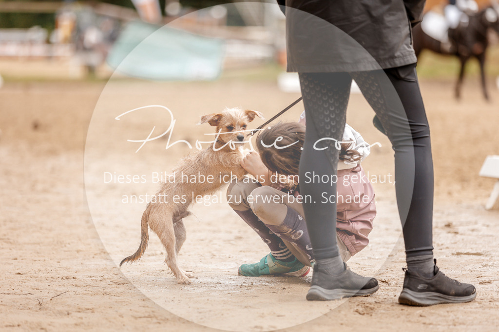 3I6A8402 | Stimmungsvolle Portraits und Reitsportfotografie im Ruhrgebiet und im Münsterland.

Pferdefotografie, Hundefotografie, Tierfotografie, Reportagen, Portraits von Tier und Mensch, Turnierfotografie in Bochum, Recklinghausen, Marl, Haltern am See, Dülmen.. - Realisiert mit Pictrs.com