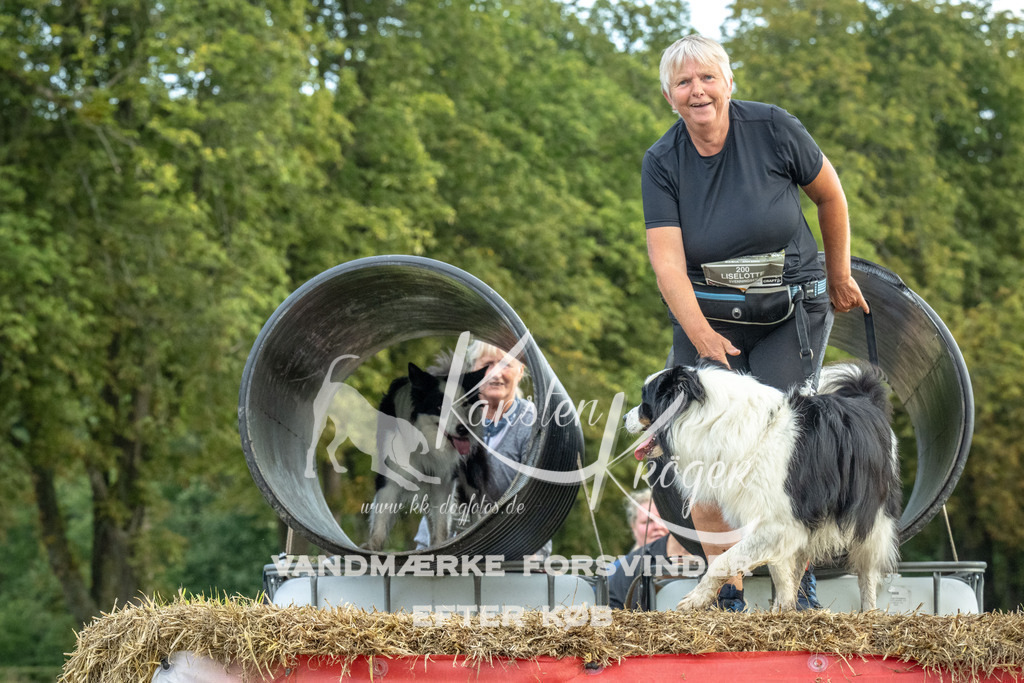 1059_ZZ93493 | kk-dogfotos