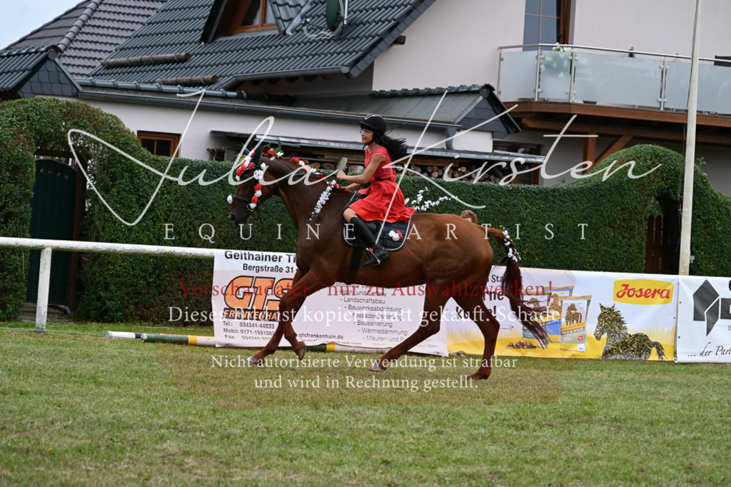 DSC_9282 | Pferde- und Turnierfotografie in Westsachsen. Pferdeportraits, Auftragszeichnungen und intuitive Kunst.