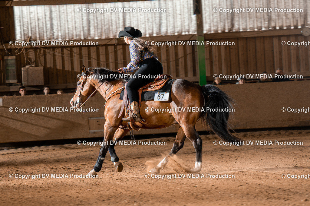 BA301128 | dv-media-shop - Realisiert mit Pictrs.com