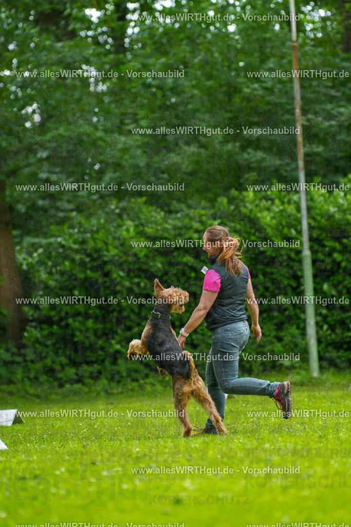 @allesWIRTHgut_Tierfotografie - www.allesWIRTHgut.de - 124108-7R509322 | Professionelle Tierfotografie in Mönchengladbach von Daniel Wirth (allesWIRTHgut). Liebevolle & natürliche Bilder von Hunden & Katzen für unvergessliche Erinnerungen.
