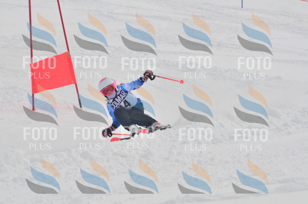 A5104 | holidayphoto