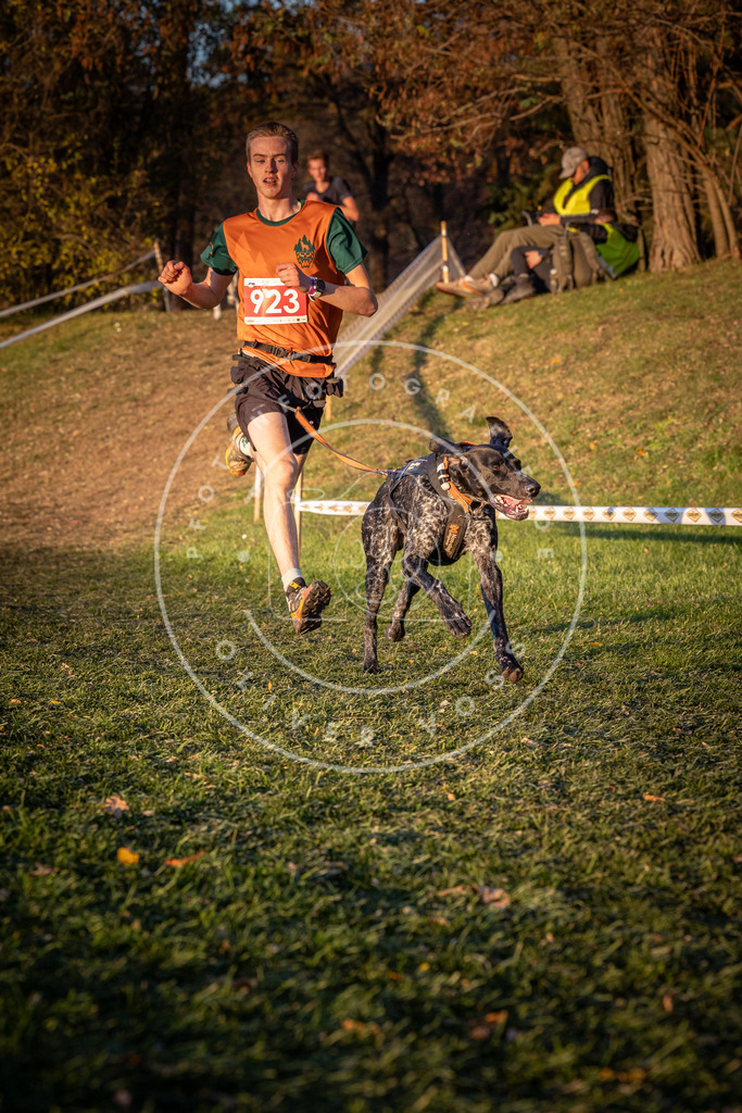 CaniXpix_0L8A1592 | Hundefotografie, Tierfotograf, Pfotenfotografie, Fotoshooting Hund, Hunde Portrait, Hundesport, Hundeportraits, Heideshooting, Hunde, Sportfotograf, Hundefotograf, Turnierhundsport, THS,  - Realisiert mit Pictrs.com