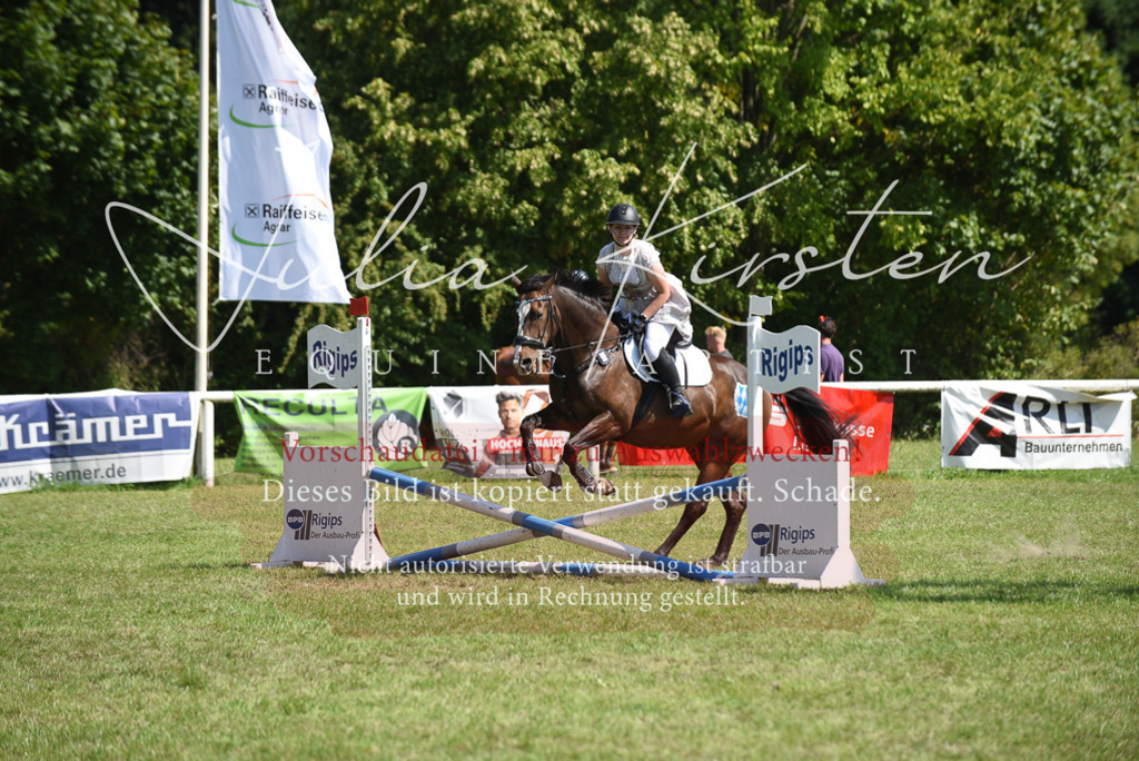 DSC_0374 | Pferde- und Turnierfotografie in Westsachsen. Pferdeportraits, Auftragszeichnungen und intuitive Kunst.