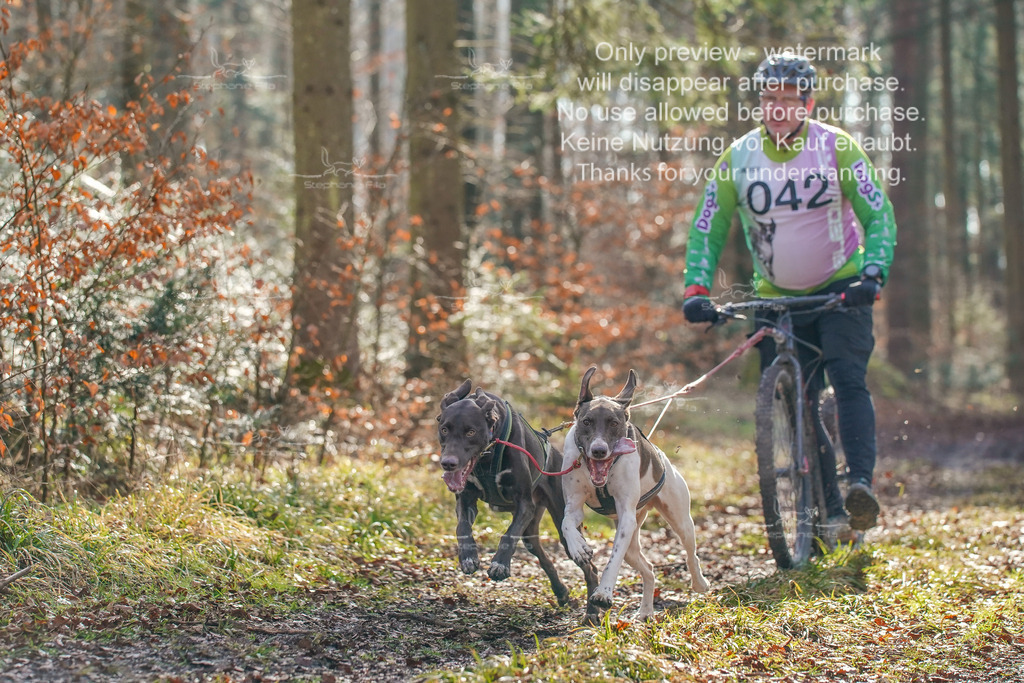 So_Scooter_2-40 | stephaniefillaphotographie - Realisiert mit Pictrs.com