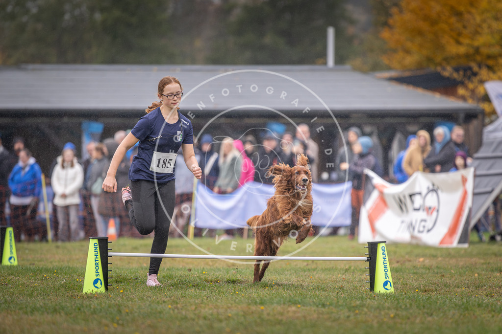 Pfotenfotografie_DV3A9746 | Hundefotografie, Tierfotograf, Pfotenfotografie, Fotoshooting Hund, Hunde Portrait, Hundesport, Hundeportraits, Heideshooting, Hunde, Sportfotograf, Hundefotograf, Turnierhundsport, THS,  - Realisiert mit Pictrs.com