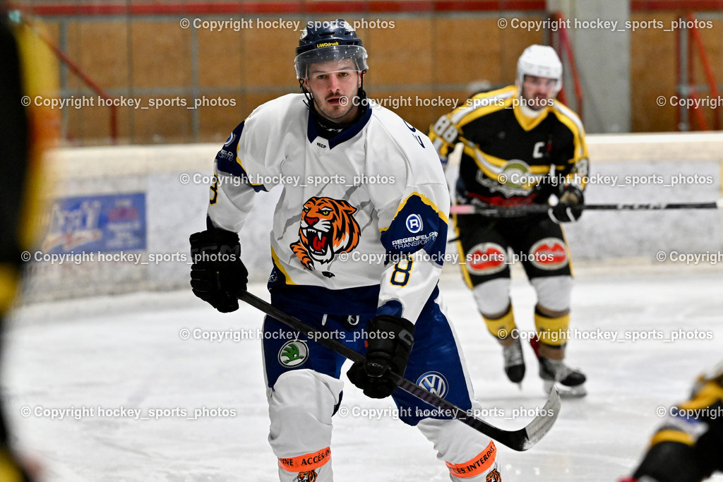 EC Tigers Paternion vs. Carintia Team | #8 Ortner Sandro EC Tigers Paternion, EC Tigers Paternion vs. Carintia Team, EC Tigers Paternion vs. Carintia Team am 29.12.2025 in Spittal an der Drau (Eissportzentrum Spittal), Austria, (Photo by Bernd Stefan)