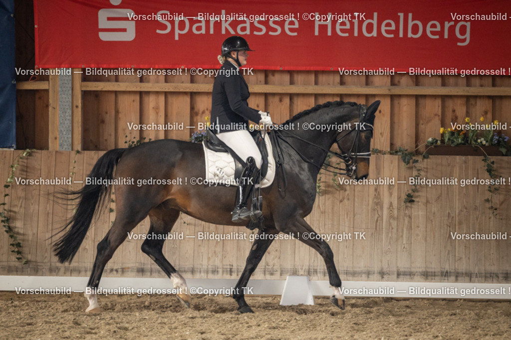 _D5A6311 | Emotionale Pferde- & People-Fotografie rund um Heidelberg, Leimen & Umgebung. Natürliche Fotos von Pferd, Mensch & Familie. Jetzt Termin sichern!