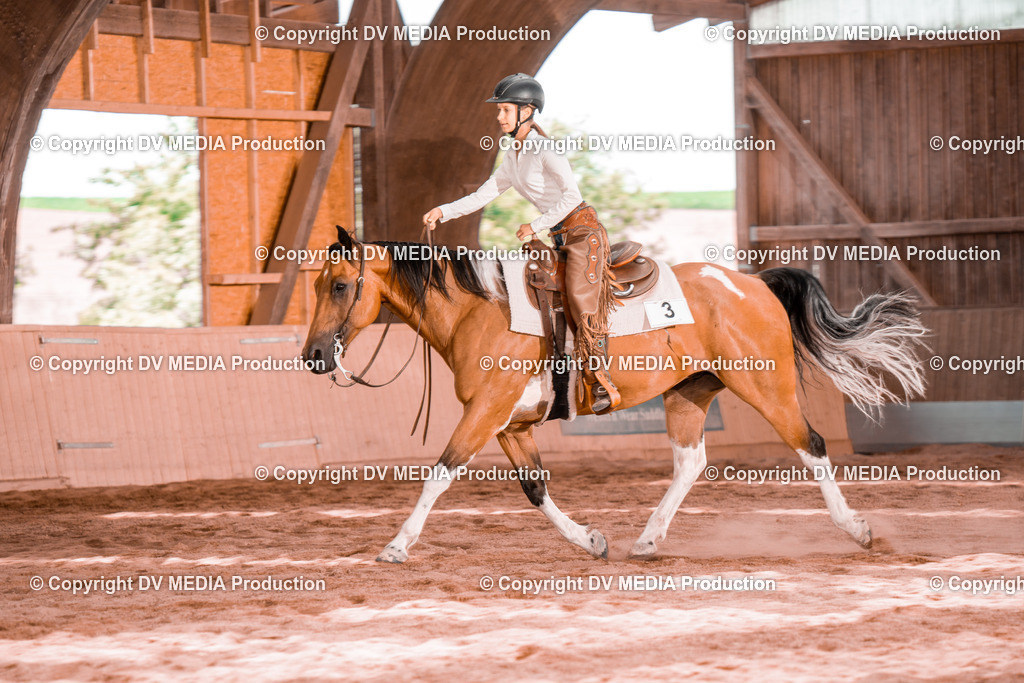 NE200670 | dv-media-shop - Realisiert mit Pictrs.com