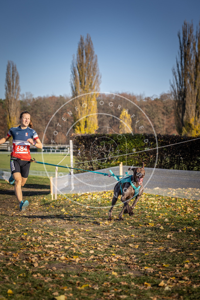 CaniXpix_DV3A1166 | Hundefotografie, Tierfotograf, Pfotenfotografie, Fotoshooting Hund, Hunde Portrait, Hundesport, Hundeportraits, Heideshooting, Hunde, Sportfotograf, Hundefotograf, Turnierhundsport, THS,  - Realisiert mit Pictrs.com