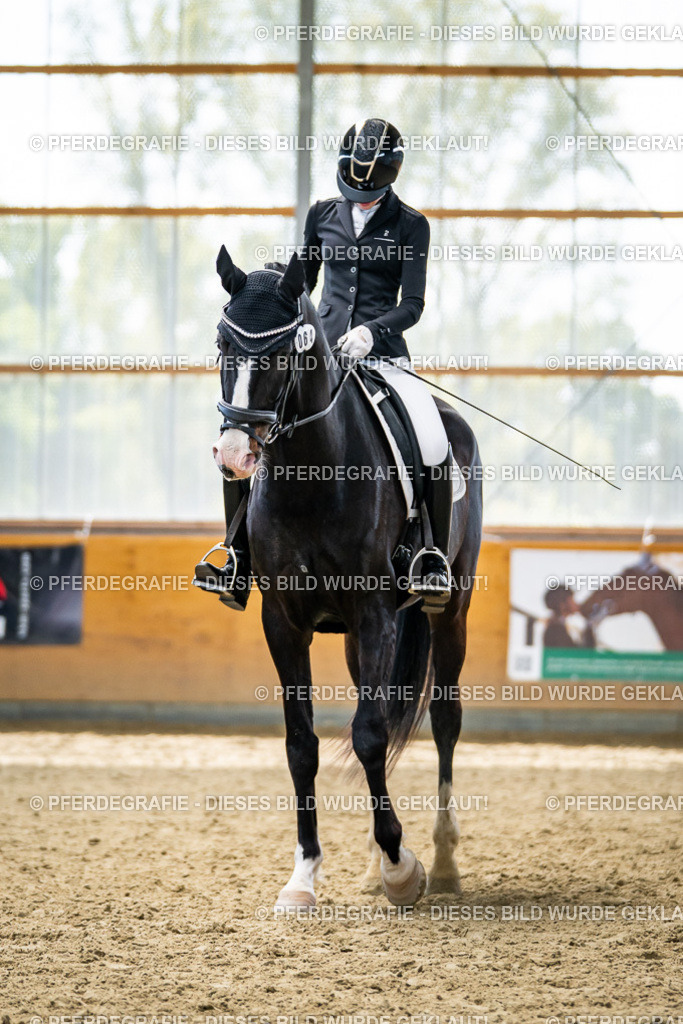 DSC05975 | Pferdegrafie