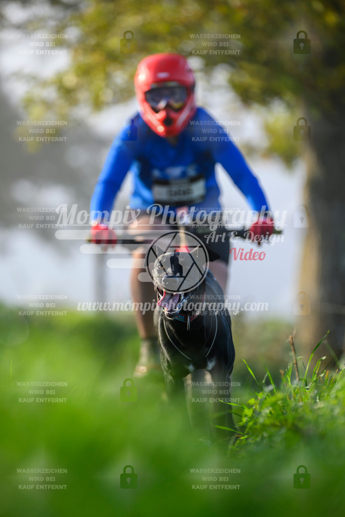 MompixPhotography_20TSB_E3_Bike-144 | PayLife