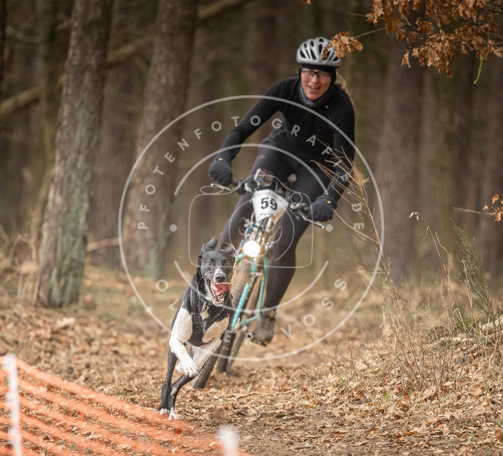 Pfotenfotografie_DV3A2972 | Hundefotografie, Tierfotograf, Pfotenfotografie, Fotoshooting Hund, Hunde Portrait, Hundesport, Hundeportraits, Heideshooting, Hunde, Sportfotograf, Hundefotograf, Turnierhundsport, THS,  - Realisiert mit Pictrs.com