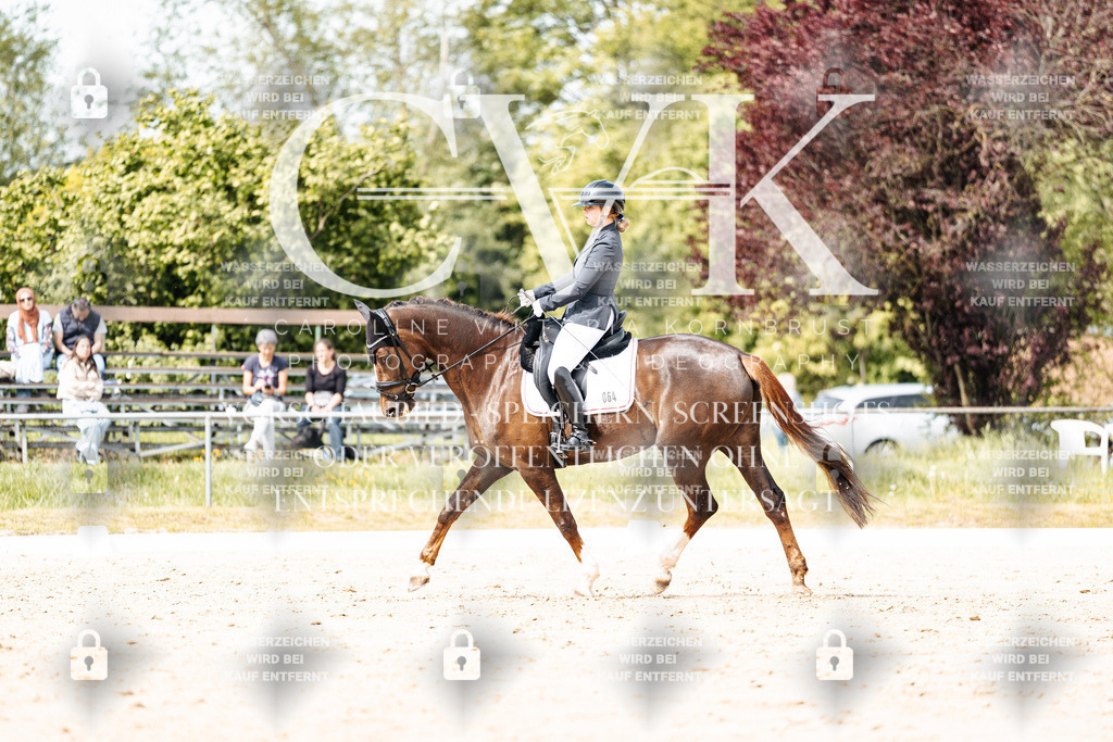 CK901296 | Turnierfotografie Pferdefotografie Trier Rheinland-Pfalz Pferdesport Reitsport Tierfotografie Sportfotografie Pferdevideo Pferdevideografie Equestrianvideography equestrianphotography  - Realisiert mit Pictrs.com