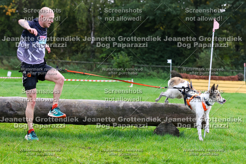 Dog Paparazzi -  SD1026-931 | Dog Paparazzi Jeanette Grottendiek Fotografie & Videografie - Realisiert mit Pictrs.com
