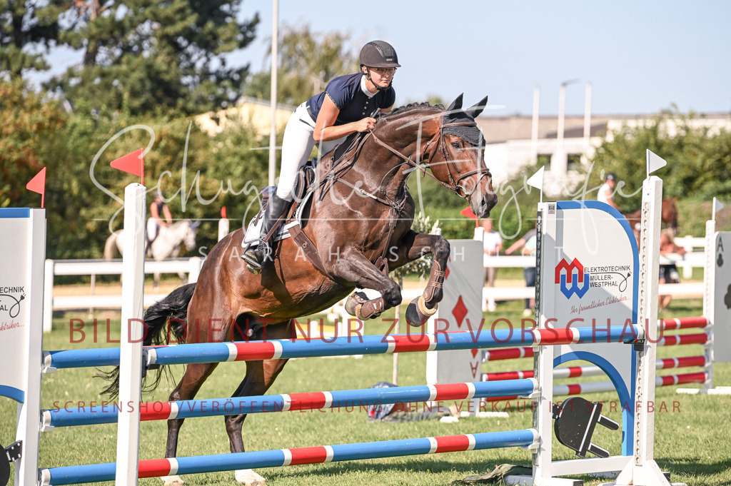 Schugtsche-Düren.2024-11.Mannsch.Springprf.A-63 | Schugtsche Fotografie - Realisiert mit Pictrs.com